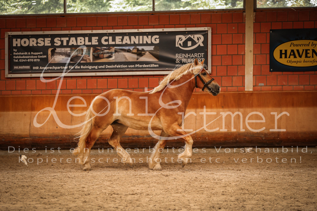 SaFL00261 | Leoni Ertmer Photography - Realisiert mit Pictrs.com