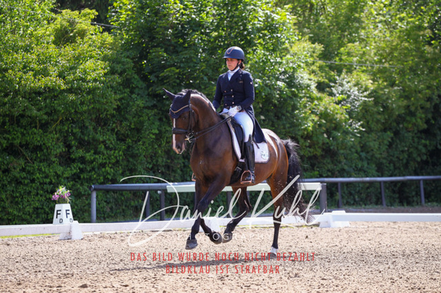 DKP41342 | Deine Turnierfotos vom Reitturnier online kaufen: Dressur, Springen & Siegerehrung. Professionelle Pferdefotografie aus dem Rheinland – als Download & Print.Alternative: Turnierfotograf für den Pferdesport: Finde deine Fotos von Dressur- und Springturnier