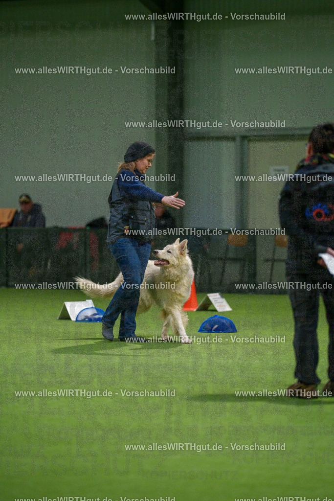 7R504219 | Professionelle Tierfotografie in Mönchengladbach von Daniel Wirth (allesWIRTHgut). Liebevolle & natürliche Bilder von Hunden & Katzen für unvergessliche Erinnerungen.