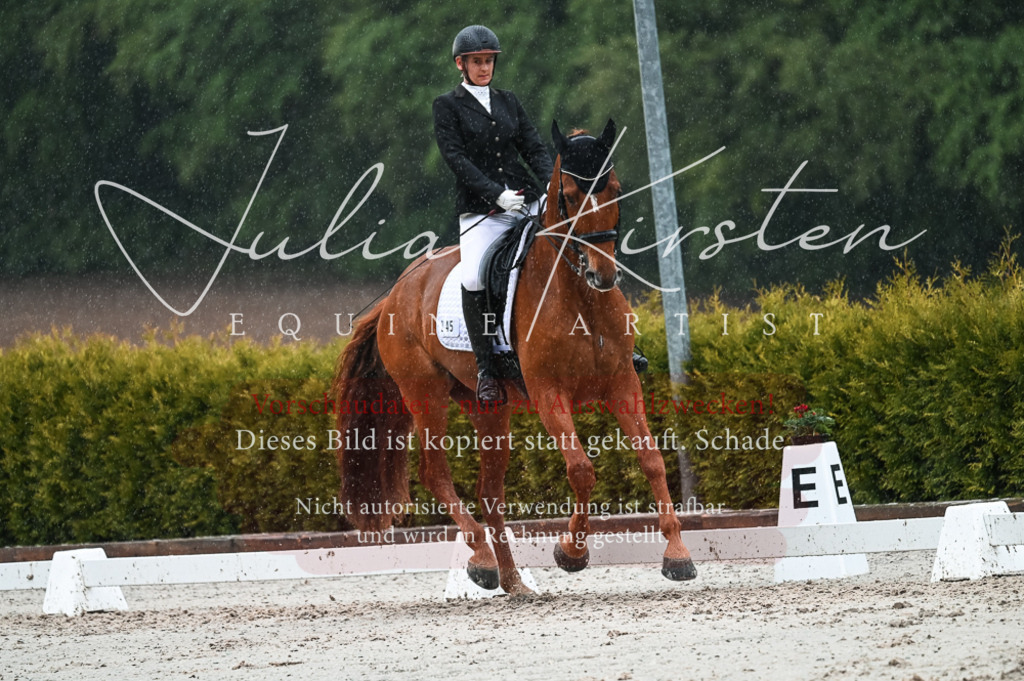 DSC_4439 | Pferde- und Turnierfotografie in Westsachsen. Pferdeportraits, Auftragszeichnungen und intuitive Kunst.