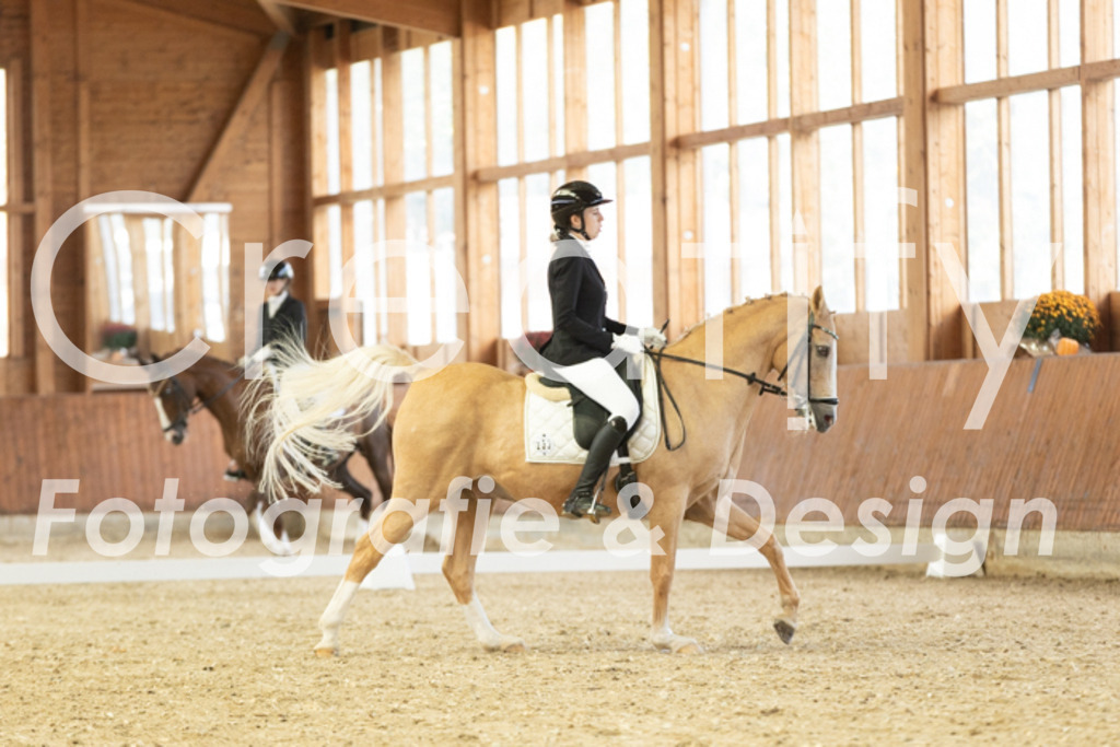 IMG_1353 | Creatify Fotografie