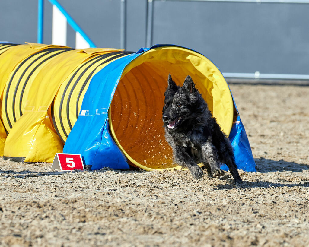 580A0135 | Peter Fridle Fotografie - Realisiert mit Pictrs.com