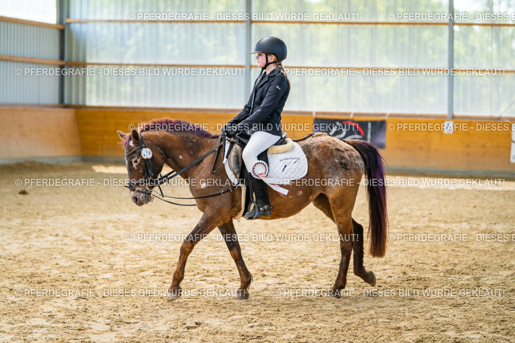 DSC01507 | Pferdegrafie