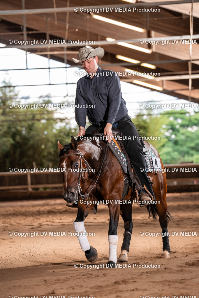 Erbach Tag 2-1009 | dv-media-shop - Realisiert mit Pictrs.com