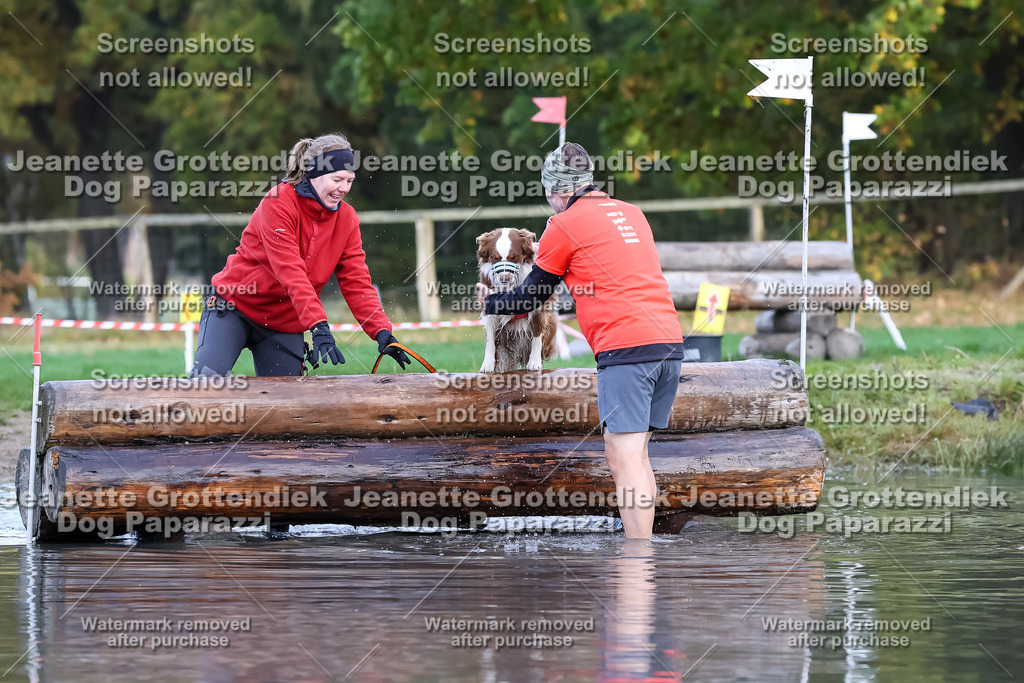 Dog Paparazzi - Strongdog 10-25-6667 | Dog Paparazzi Jeanette Grottendiek Fotografie & Videografie - Realisiert mit Pictrs.com