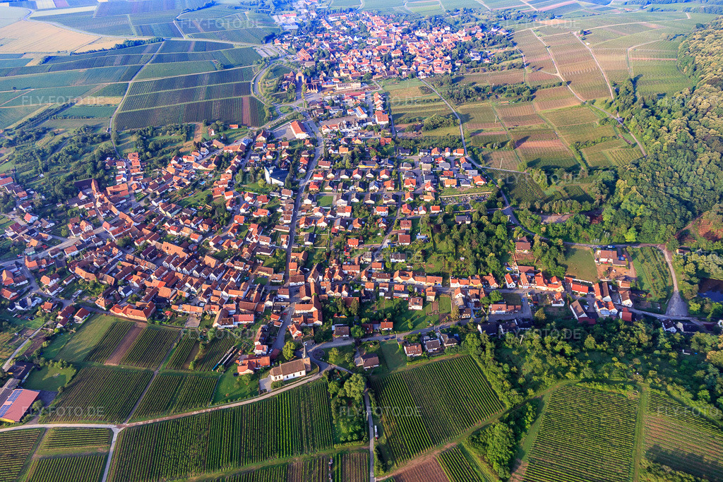 Luftbild: Winzerdorf aus Norden im Ortsteil Rechtenbach in Schweigen-Rechtenbach im Bundesland Rheinland-Pfalz in Deutschland. Foto: IMG_107834.jpg vom 10.06.2018 durch Werner Riehm/FLY-FOTO.de