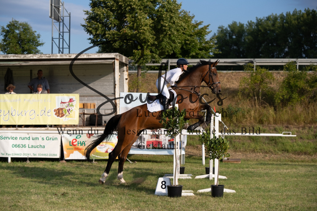 A7V01140 | Pferdefotograf