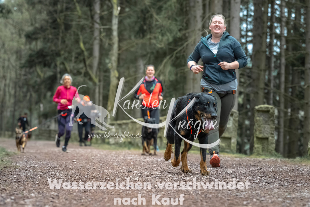 0815_ZZ90702 | kk-dogfotos