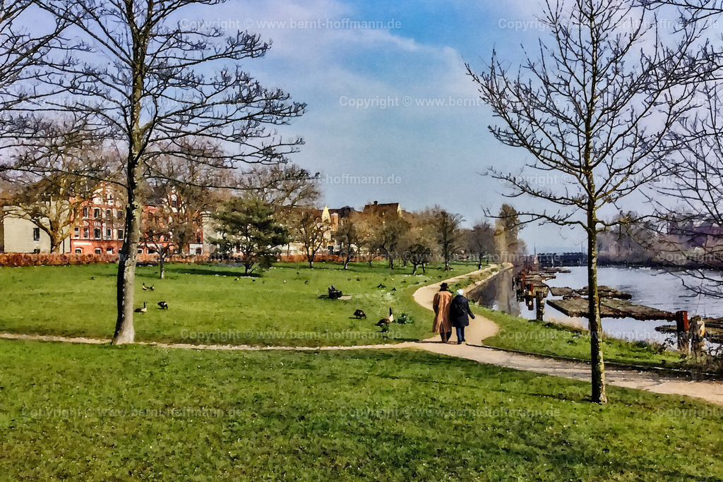 PDM2_8672_Holtenau-Schleusenwiese_180x120 | DIGITALKUNST. Frühling am Kanal. __ Spaziergänger und Gänse in Holtenau an der Schleusenwiese. Seitenarm vom Nordostseekanal ( NOK ). - Realisiert mit Pictrs.com