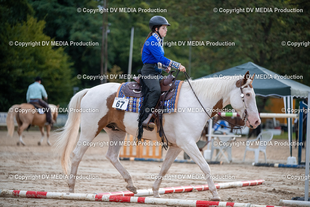 ZS3_4495 | dv-media-shop - Realisiert mit Pictrs.com