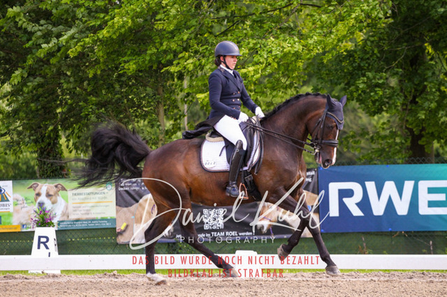 DKP41367 | Turnierfotos kaufen im Webshop von Daniel Kuhl Photography – entdecke professionelle Reitsportfotos aus Turnieren & Events. Hochwertige Turnierbilder online bestellen & sichern. Jetzt Fotos von Reitsportturnieren kaufen!