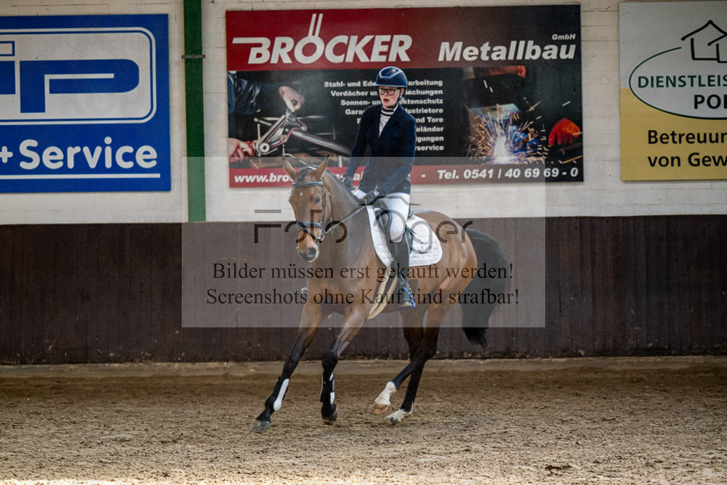 20240308-DOS_3855 | Entdecke hochwertige Reitturnierfotos von Foto Oger. Professionell, emotional und authentisch – jetzt Lieblingsmomente im Shop bestellen.Deutschlandweite Turnierfotografie. - Realisiert mit Pictrs.com