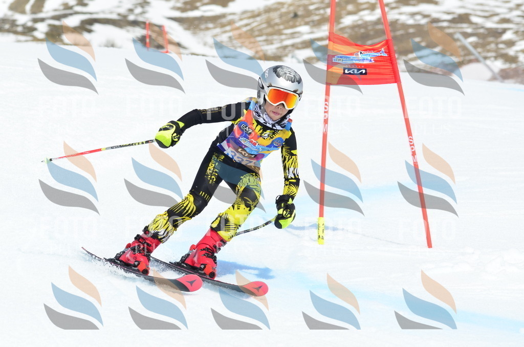 _ELE2501 | holidayphoto