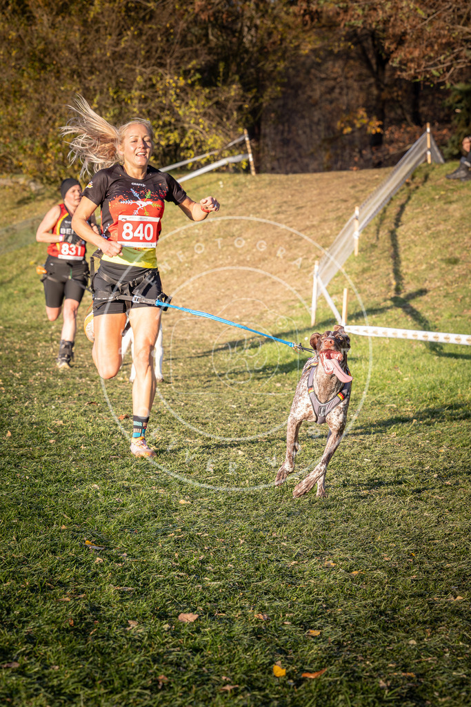 CaniXpix_0L8A0717 | Hundefotografie, Tierfotograf, Pfotenfotografie, Fotoshooting Hund, Hunde Portrait, Hundesport, Hundeportraits, Heideshooting, Hunde, Sportfotograf, Hundefotograf, Turnierhundsport, THS,  - Realisiert mit Pictrs.com
