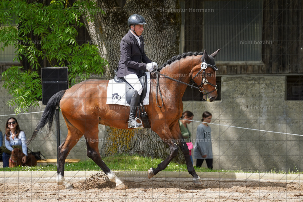 20240519-FAH05211 | Turnierbilder Niederseeon 2024, Vielseitigkeitsdressur, Reitsportbilder aus dem Landkreit Ebersberg, Gut Steinsee, RC Steinsee, Fotoagentur Herrmann