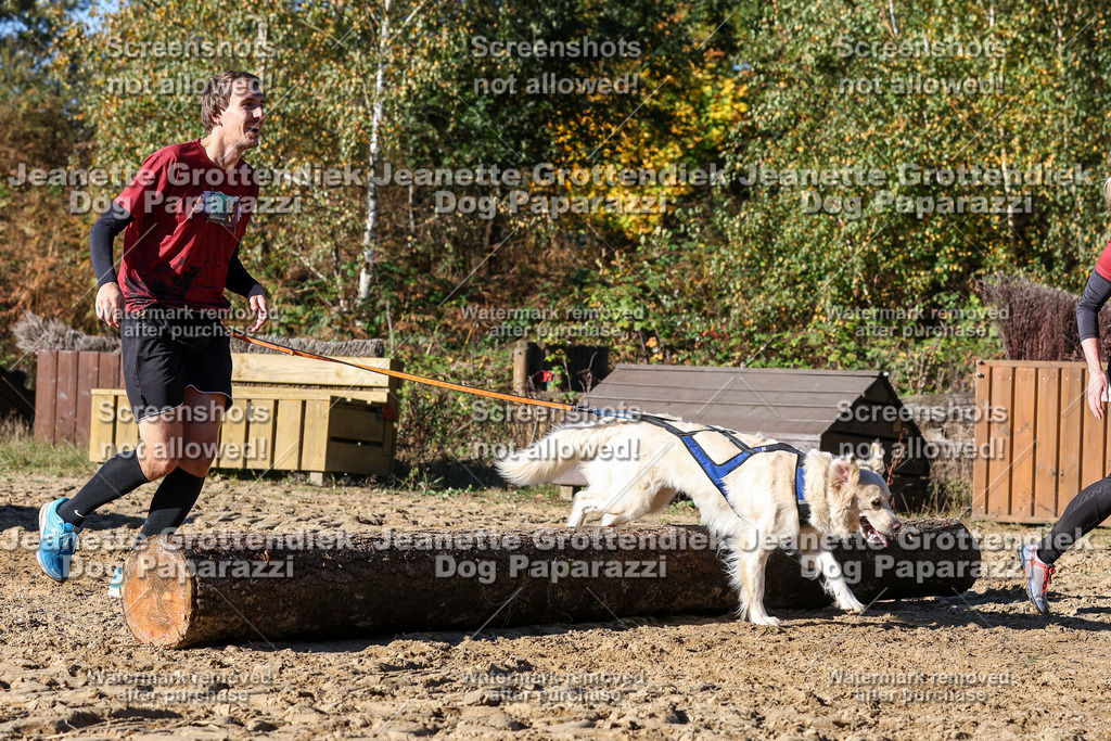 Dog Paparazzi - Strongdog 10-25-2357 | Dog Paparazzi Jeanette Grottendiek Fotografie & Videografie - Realisiert mit Pictrs.com