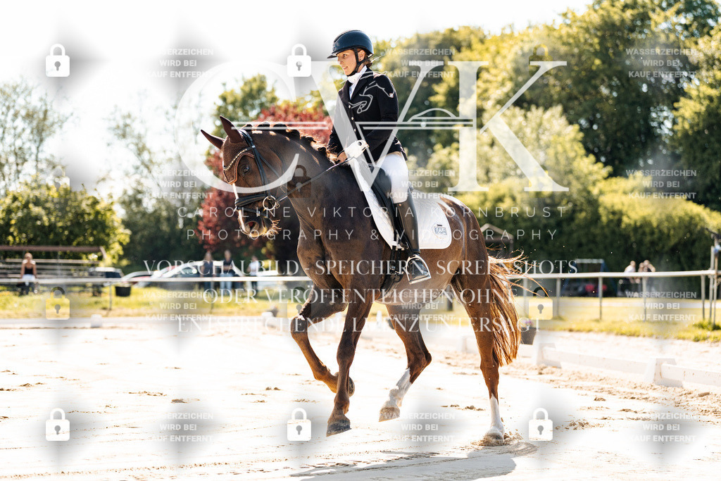 CK909104 | Turnierfotografie Pferdefotografie Trier Rheinland-Pfalz Pferdesport Reitsport Tierfotografie Sportfotografie Pferdevideo Pferdevideografie Equestrianvideography equestrianphotography  - Realisiert mit Pictrs.com