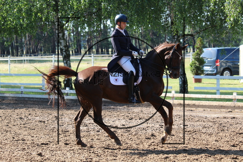 IMG_6266 | franziskalange - Realisiert mit Pictrs.com