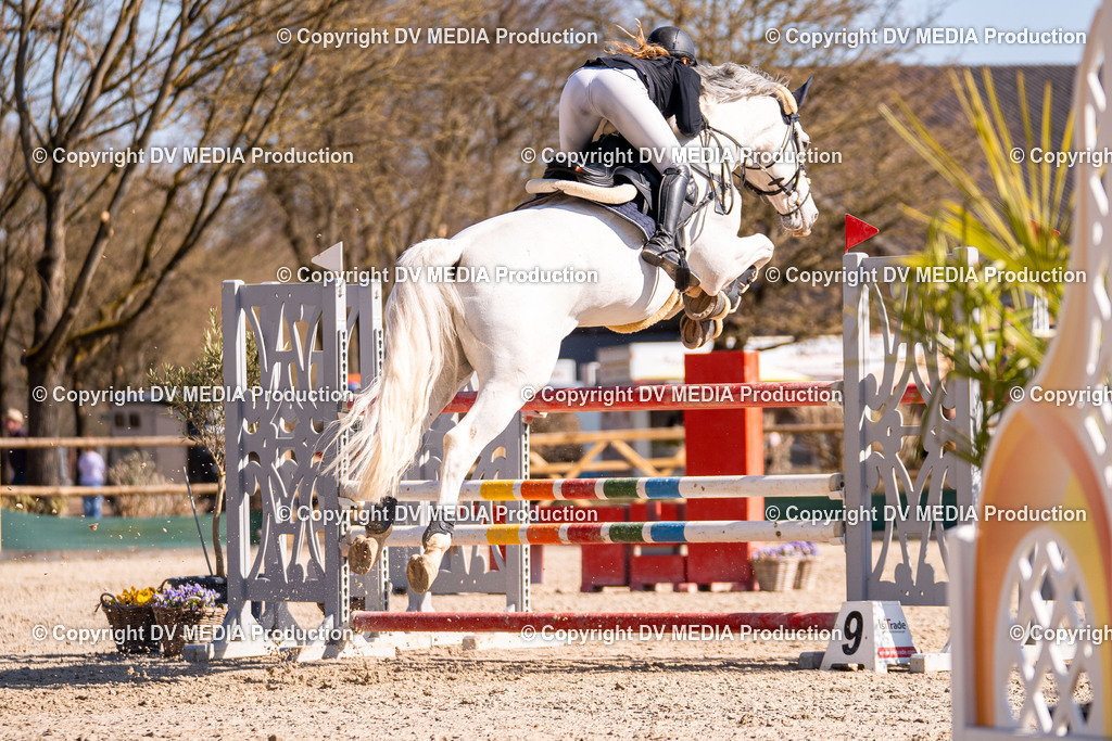 Kranichstein Tag 2-786 | dv-media-shop - Realisiert mit Pictrs.com