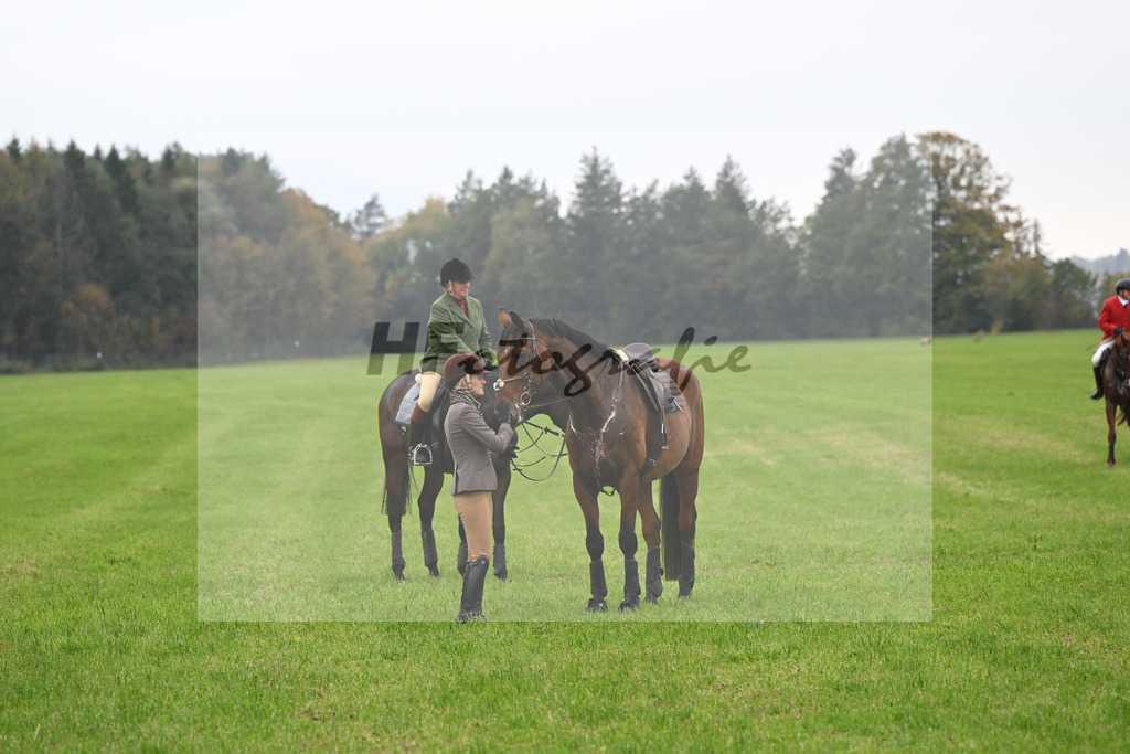 5622735 | hf-fotografie - Realizzato con Pictrs.com