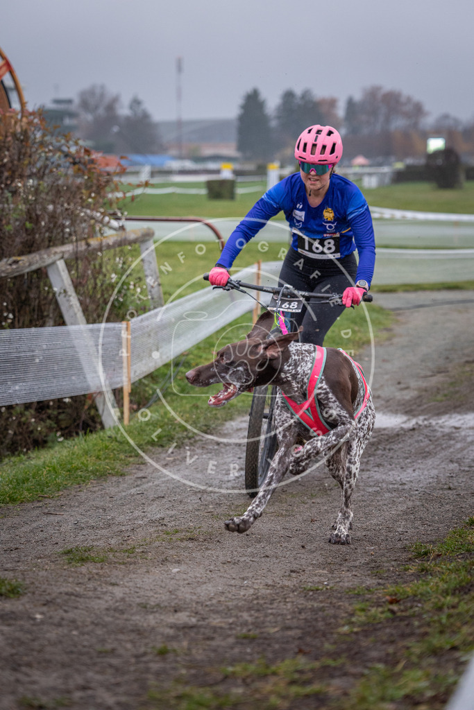 CaniXpix_0L8A0666 | Hundefotografie, Tierfotograf, Pfotenfotografie, Fotoshooting Hund, Hunde Portrait, Hundesport, Hundeportraits, Heideshooting, Hunde, Sportfotograf, Hundefotograf, Turnierhundsport, THS,  - Realisiert mit Pictrs.com