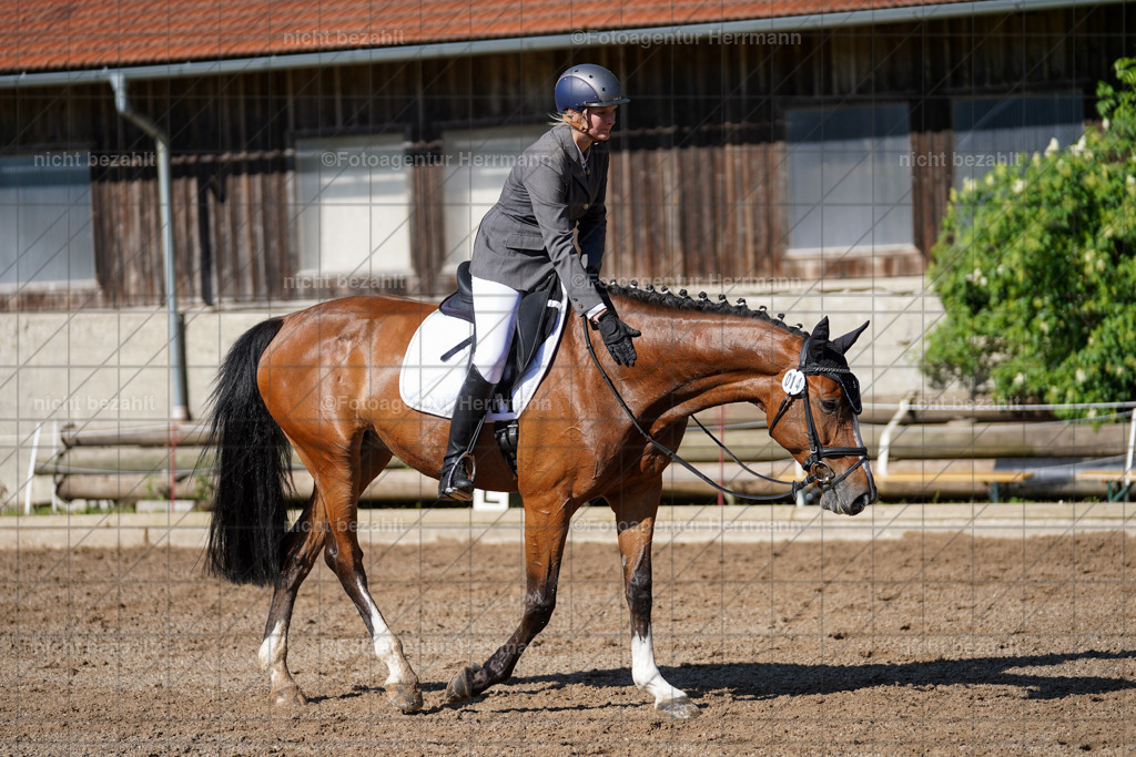 20240519-FAH04574 | Turnierbilder Niederseeon 2024, Vielseitigkeitsdressur, Reitsportbilder aus dem Landkreit Ebersberg, Gut Steinsee, RC Steinsee, Fotoagentur Herrmann