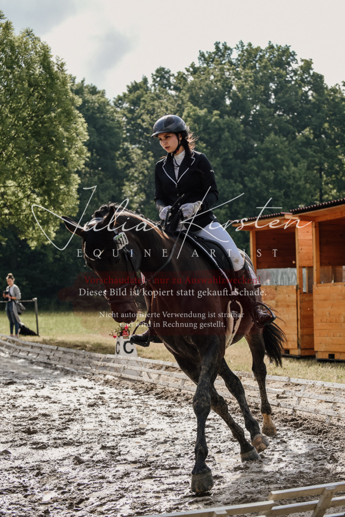 DSC_8608 | Pferde- und Turnierfotografie in Westsachsen. Pferdeportraits, Auftragszeichnungen und intuitive Kunst.