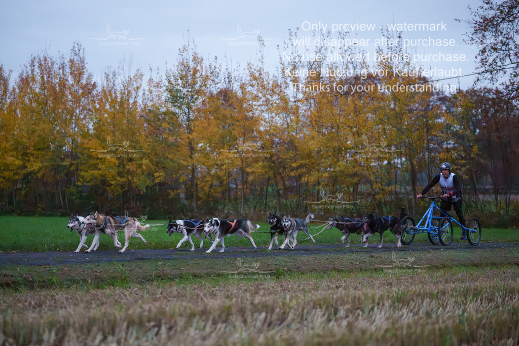 8er_Sa-5 | stephaniefillaphotographie - Realisiert mit Pictrs.com