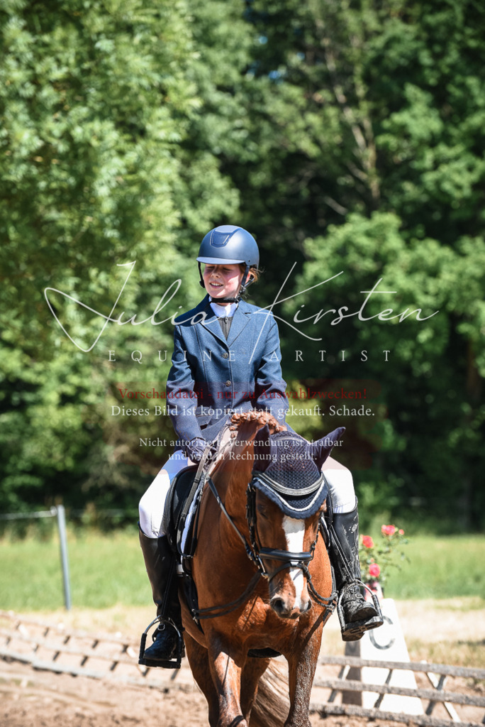DSC_3555 | Pferde- und Turnierfotografie in Westsachsen. Pferdeportraits, Auftragszeichnungen und intuitive Kunst.