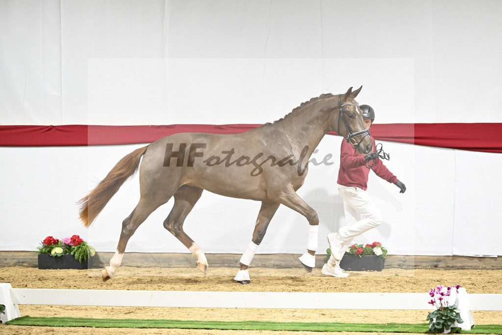 Kat-Nr. 56 v. Feinrich_Fink_63221677 | hf-fotografie - Realizzato con Pictrs.com