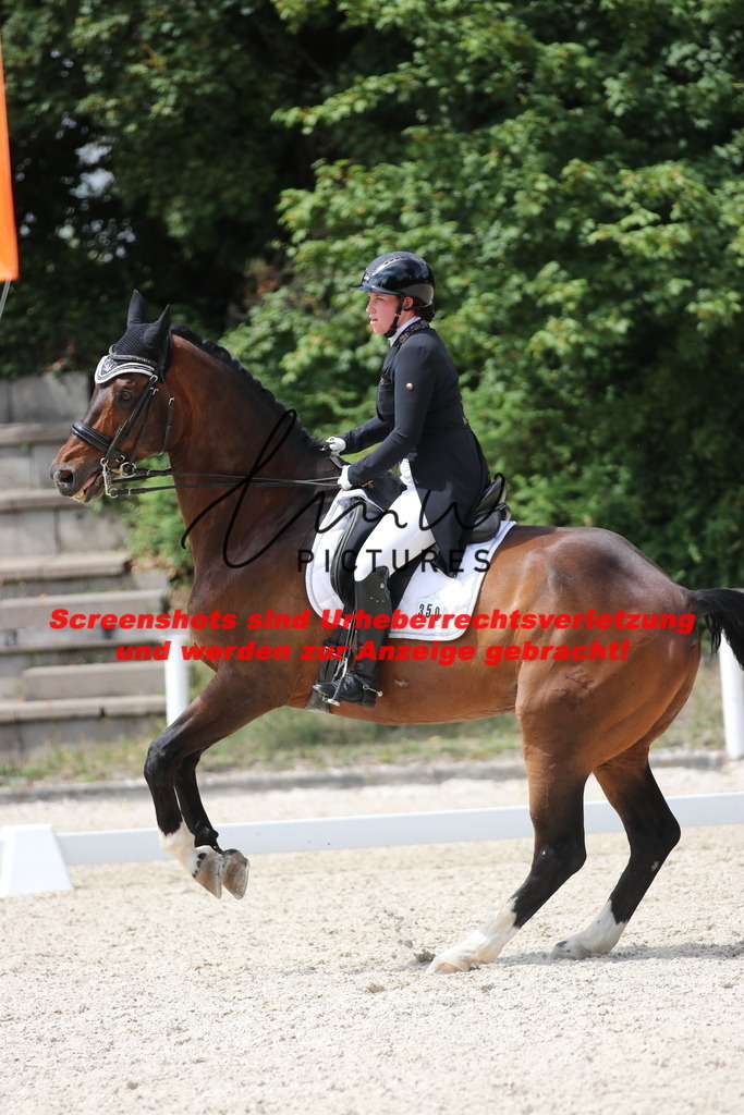 IMG_1943 | lmwpictures - Realisiert mit Pictrs.com