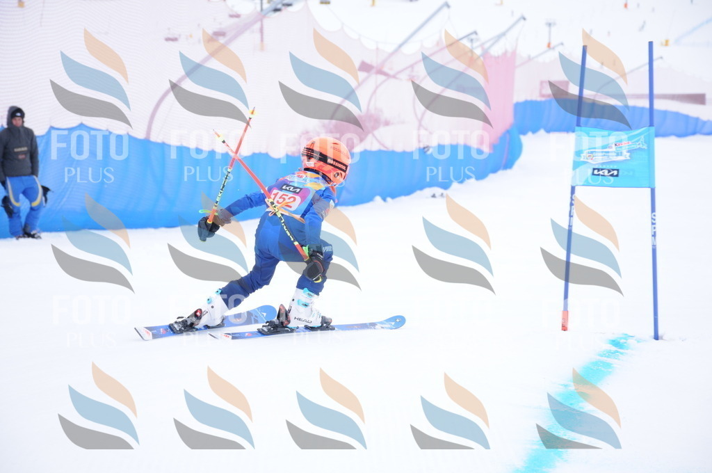 DSC_8766 | holidayphoto