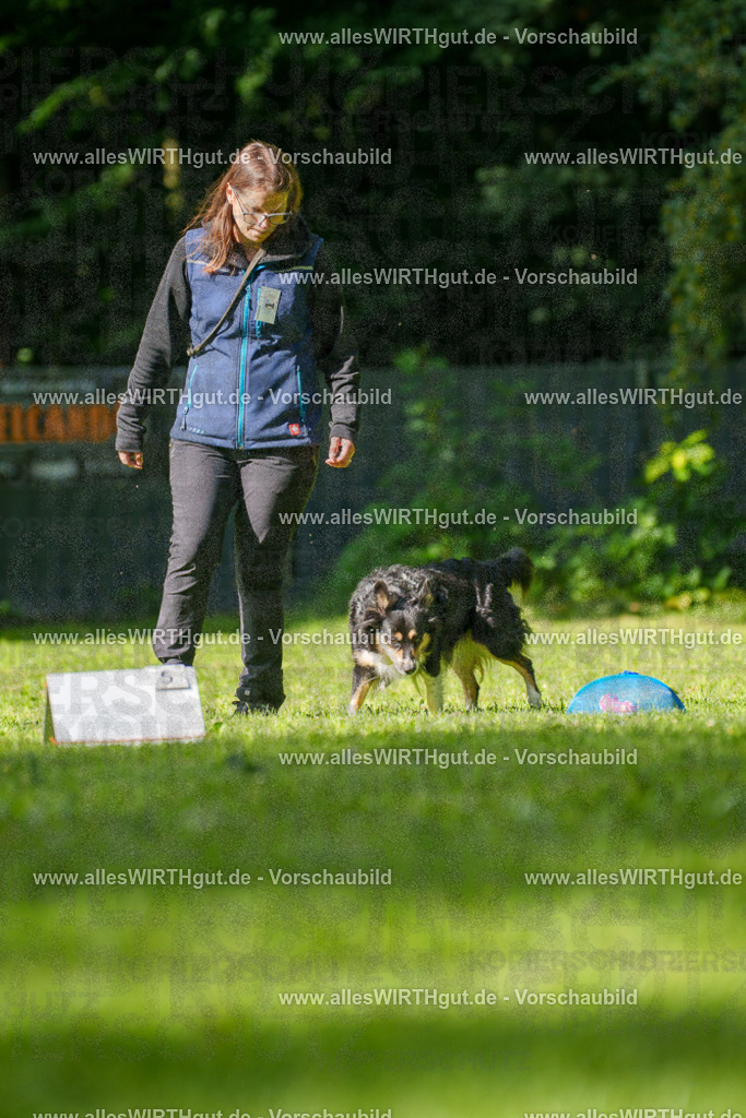 @allesWIRTHgut_Tierfotografie - www.allesWIRTHgut.de - 082652-7R506192 | Professionelle Tierfotografie in Mönchengladbach von Daniel Wirth (allesWIRTHgut). Liebevolle & natürliche Bilder von Hunden & Katzen für unvergessliche Erinnerungen.