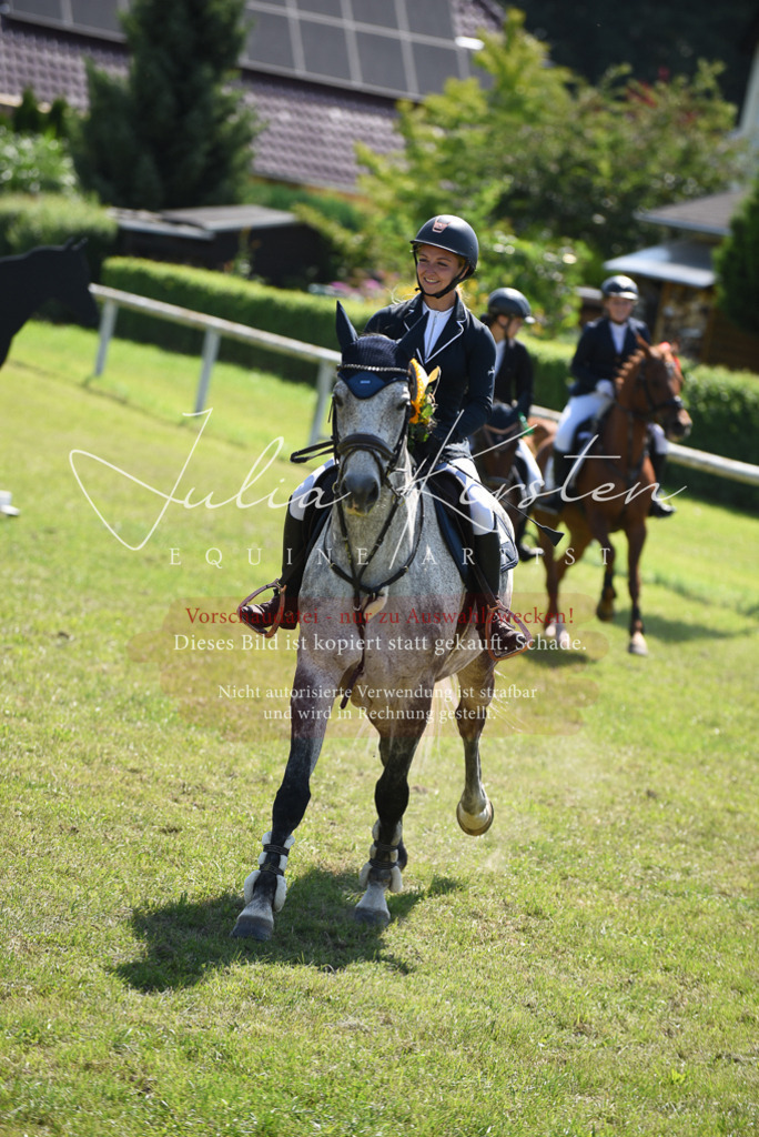 DSC_9648 | Pferde- und Turnierfotografie in Westsachsen. Pferdeportraits, Auftragszeichnungen und intuitive Kunst.
