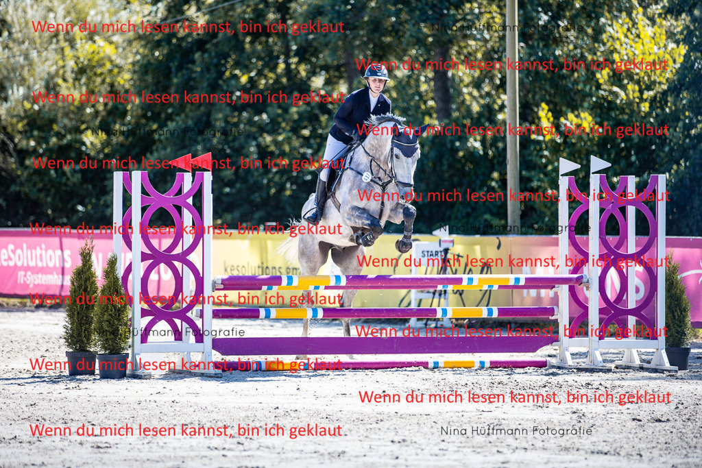 BK1A5550 | Turnierbilder Turnierfotos Nina Hüffmann Turnierfotografie Pferdefotografie Tierzeichnung Haustierzeichnung Pferdezeichnung Hundezeichnung Videograf  - Realisiert mit Pictrs.com