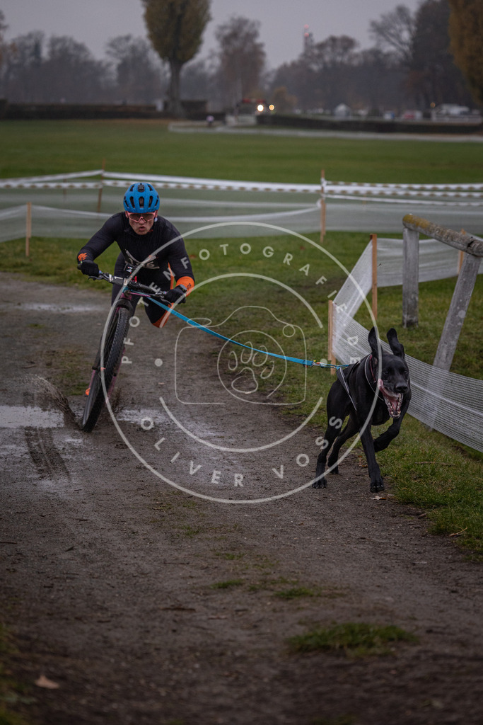 CaniXpix_0L8A0185 | Hundefotografie, Tierfotograf, Pfotenfotografie, Fotoshooting Hund, Hunde Portrait, Hundesport, Hundeportraits, Heideshooting, Hunde, Sportfotograf, Hundefotograf, Turnierhundsport, THS,  - Realisiert mit Pictrs.com