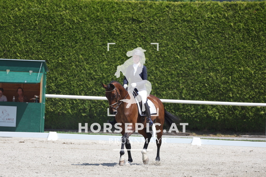 0P6A6051 | Willkommen bei Brunnmayr - Design & Fotografie – Ihrem Spezialisten für Reitturniere und Pferdeveranstaltungen in Oberösterreich, Salzburg und Bayern! Seit über 17 Jahren sind wir leidenschaftlich dabei.