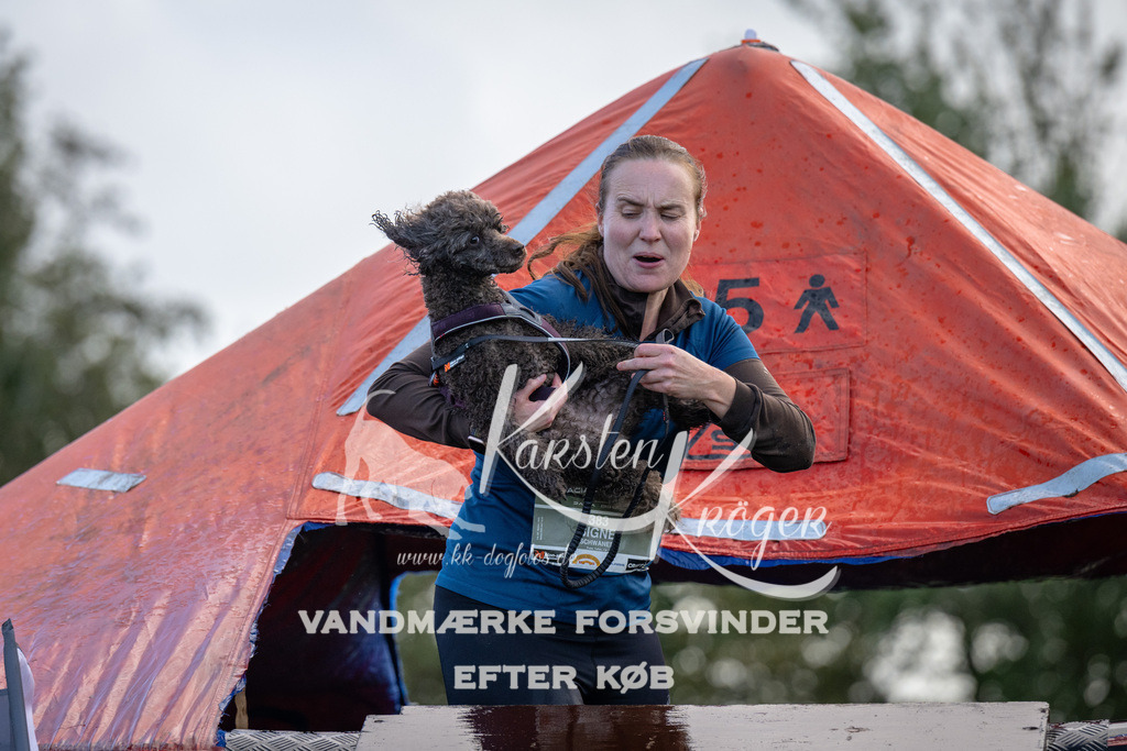 1258-90381 | kk-dogfotos