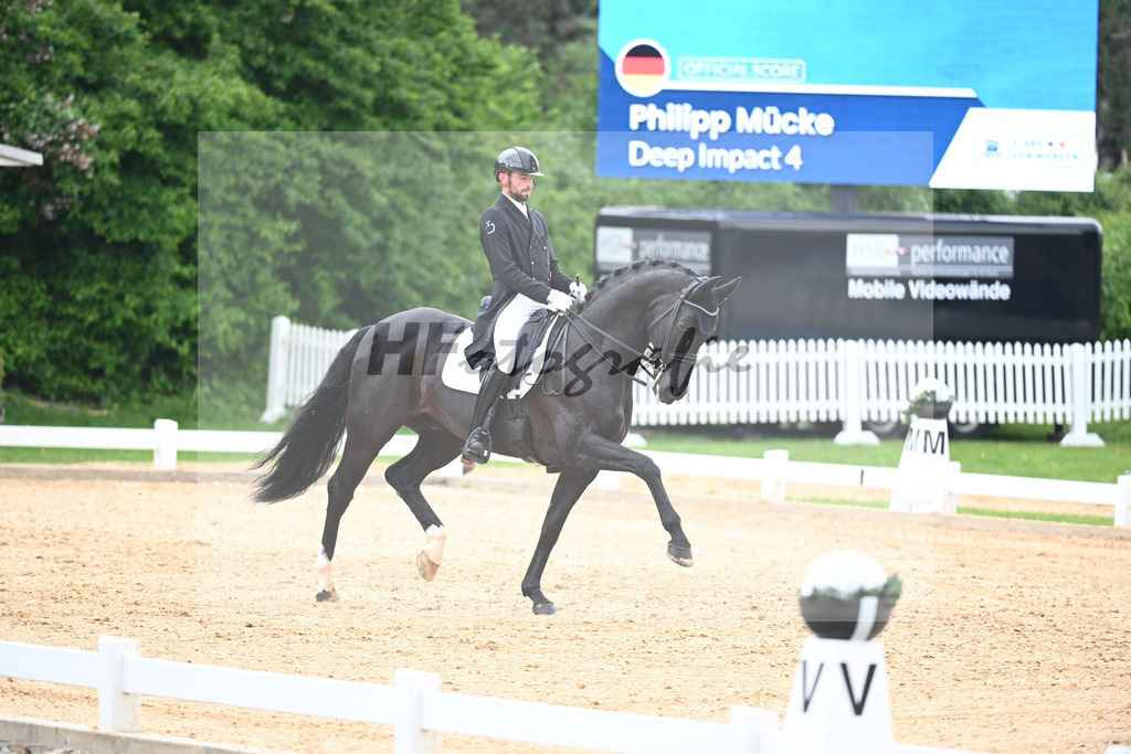 Muecke_Deep Impact_12240462 | hf-fotografie - Realizzato con Pictrs.com