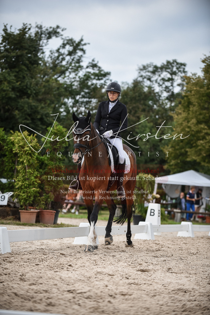 DSC_8555 | Pferde- und Turnierfotografie in Westsachsen. Pferdeportraits, Auftragszeichnungen und intuitive Kunst.