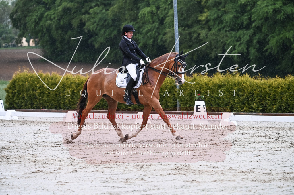 DSC_4463 | Pferde- und Turnierfotografie in Westsachsen. Pferdeportraits, Auftragszeichnungen und intuitive Kunst.