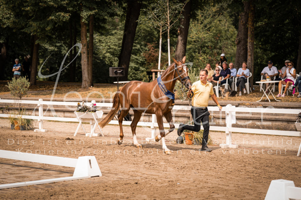 3.Fr00256 | Leoni Ertmer Photography - Realisiert mit Pictrs.com