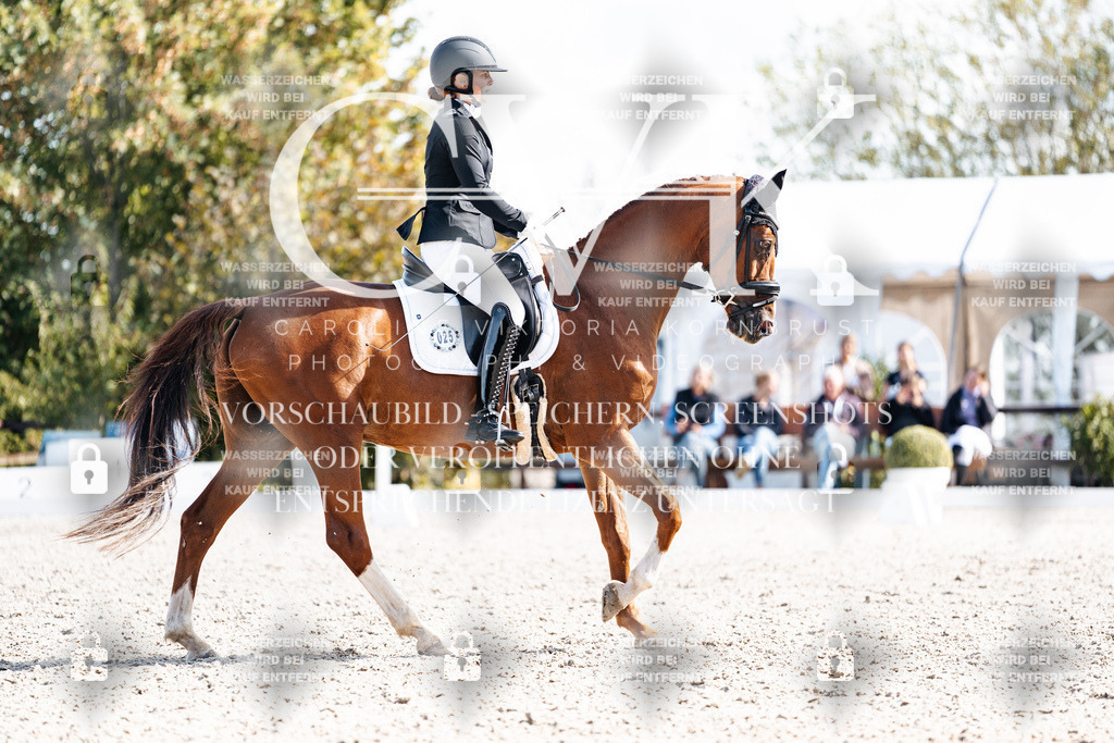 CK902241 | Turnierfotografie Pferdefotografie Trier Rheinland-Pfalz Pferdesport Reitsport Tierfotografie Sportfotografie Pferdevideo Pferdevideografie Equestrianvideography equestrianphotography  - Realisiert mit Pictrs.com