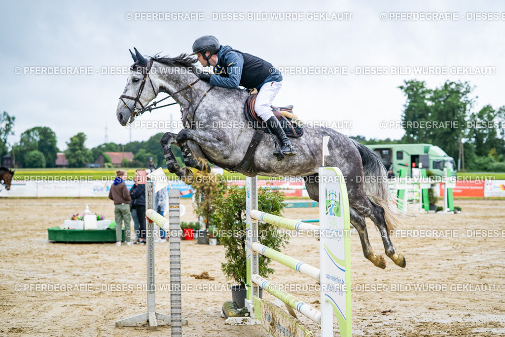 DSC03777 | Pferdegrafie