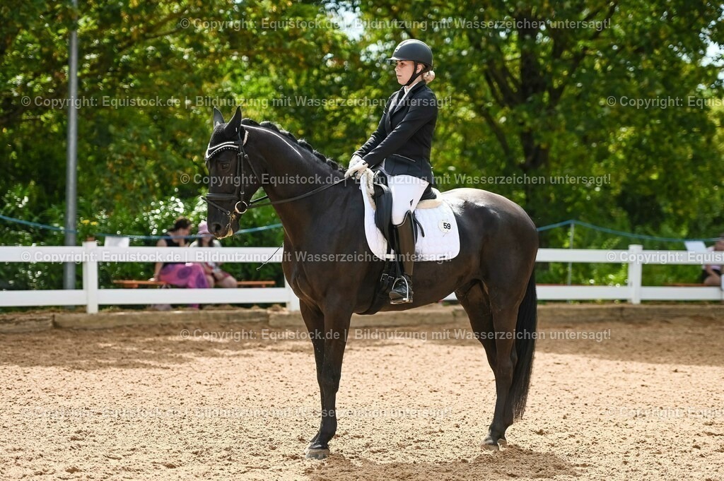20230715_07_Dressurpferdeprfg. Kl.L_0137 | equistock