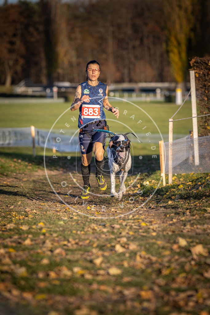 CaniXpix_DV3A4380 | Hundefotografie, Tierfotograf, Pfotenfotografie, Fotoshooting Hund, Hunde Portrait, Hundesport, Hundeportraits, Heideshooting, Hunde, Sportfotograf, Hundefotograf, Turnierhundsport, THS,  - Realisiert mit Pictrs.com