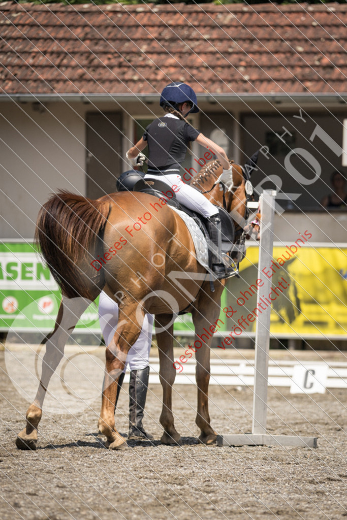 IMG_3526 | Sport-, Event- und Tierfotos in Profiqualität. Einfach auswählen, bestellen und herunterladen. Dein Moment – perfekt festgehalten.