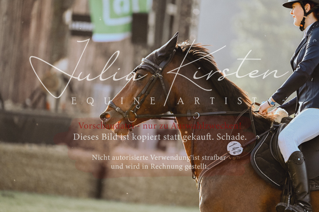 DSC_3957 | Pferde- und Turnierfotografie in Westsachsen. Pferdeportraits, Auftragszeichnungen und intuitive Kunst.