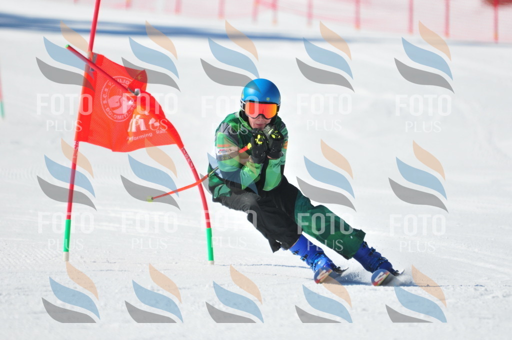 C3684 | holidayphoto