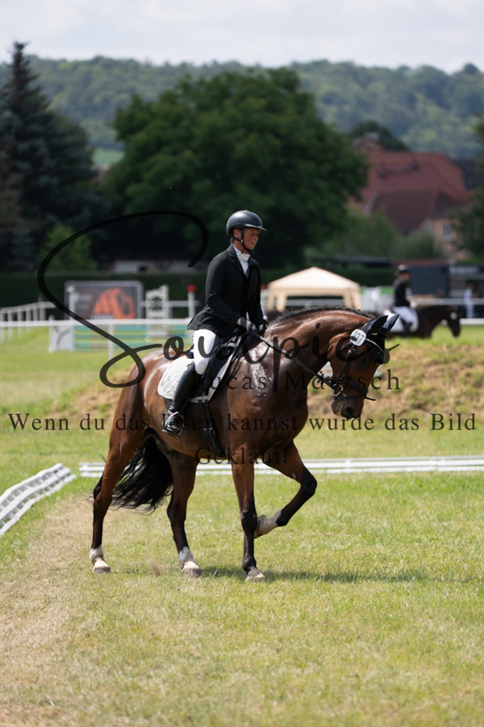 A7V09965 | Pferdefotograf